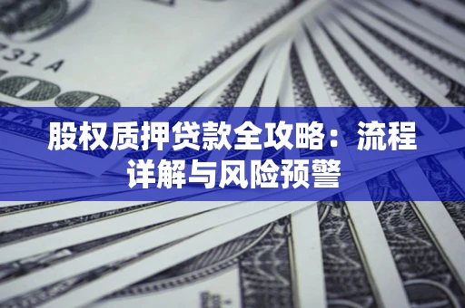 武汉股权质押贷款全攻略：流程详解与风险预警