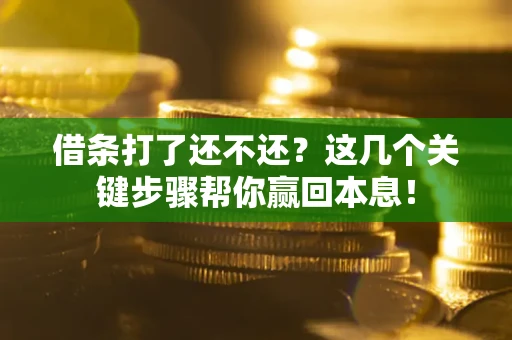 武汉借条打了还不还？这几个关键步骤帮你赢回本息！