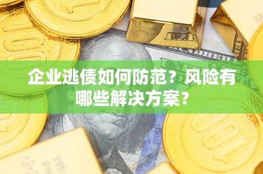 武汉企业逃债如何防范？风险有哪些解决方案？