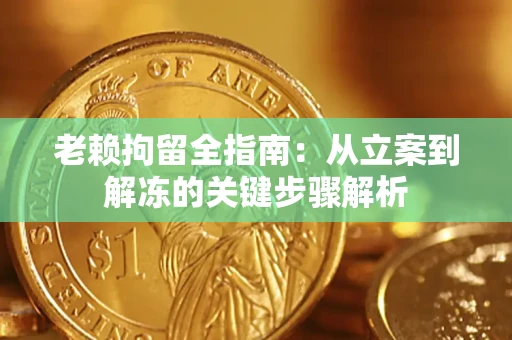 武汉老赖拘留全指南：从立案到解冻的关键步骤解析