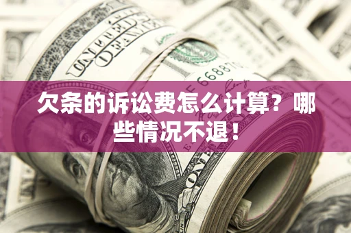 武汉欠条的诉讼费怎么计算？哪些情况不退！