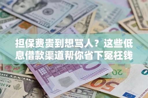 武汉担保费贵到想骂人？这些低息借款渠道帮你省下冤枉钱