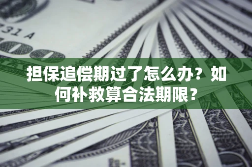 武汉担保追偿期过了怎么办？如何补救算合法期限？