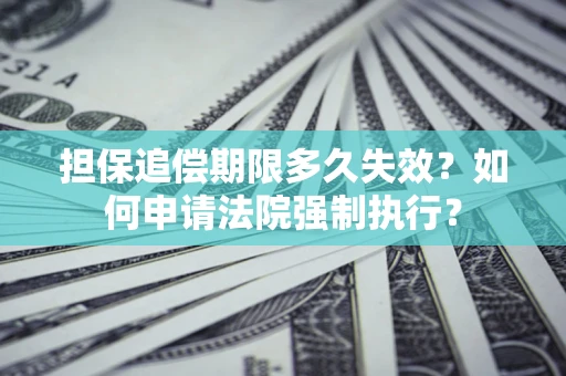 武汉担保追偿期限多久失效？如何申请法院强制执行？