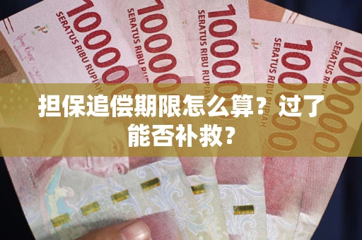 武汉担保追偿期限怎么算？过了能否补救？